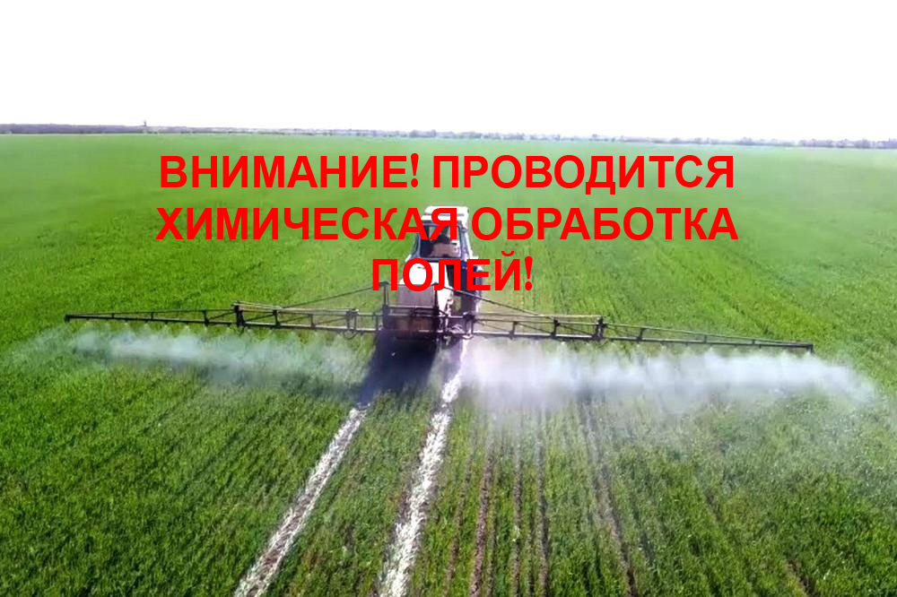 Уведомление об обработке посевов озимого рапса пестицидами.